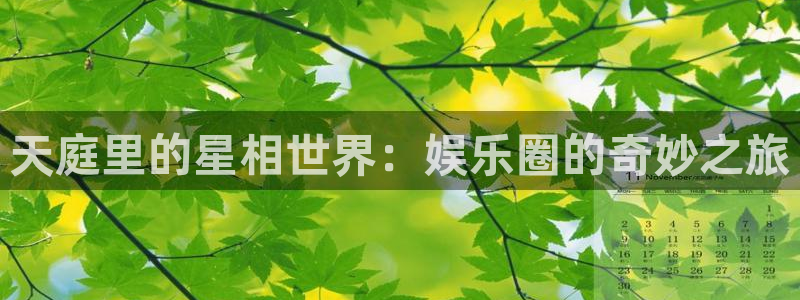 今年会官网登录入口