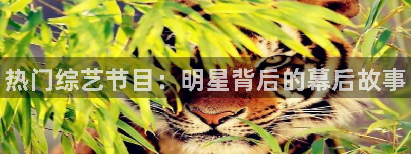 今年会首页