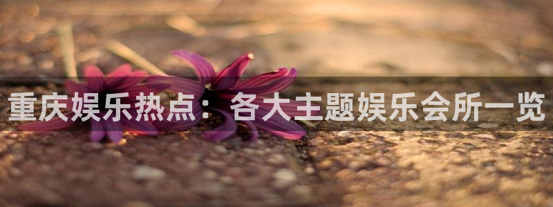 今年会体育