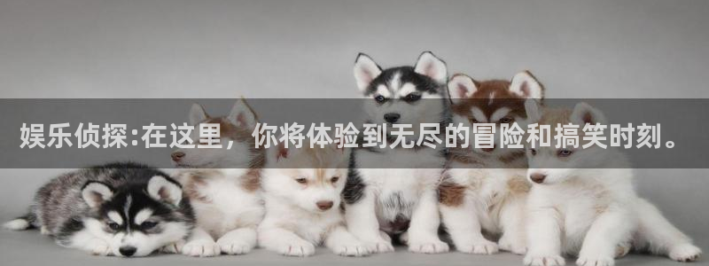 今年会官网登录入口