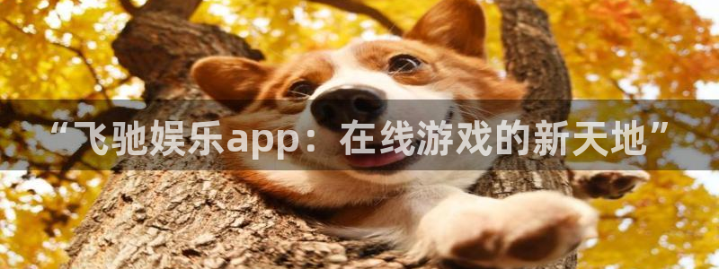 今年会体育