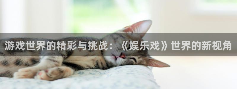 今年会官网登录入口
