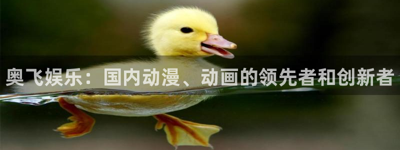 今年会官网登录入口